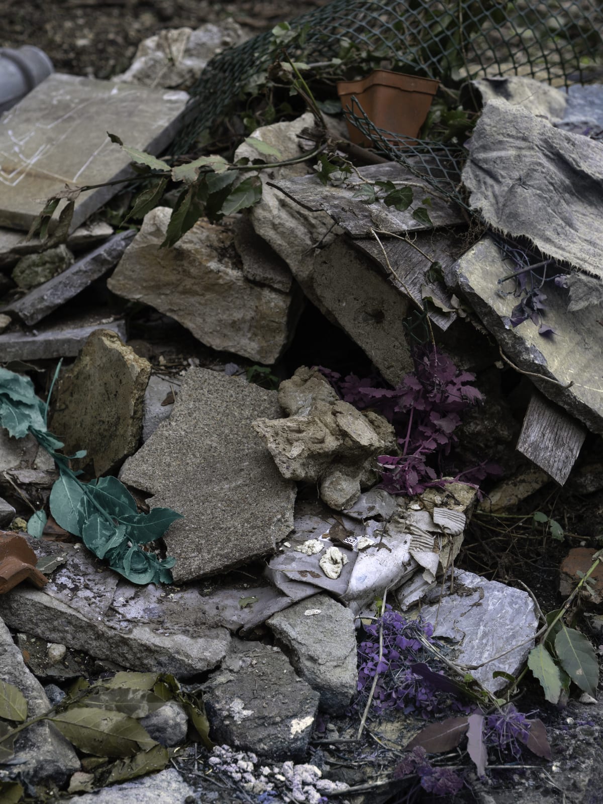 Sweetened, Ruined photography series artwork