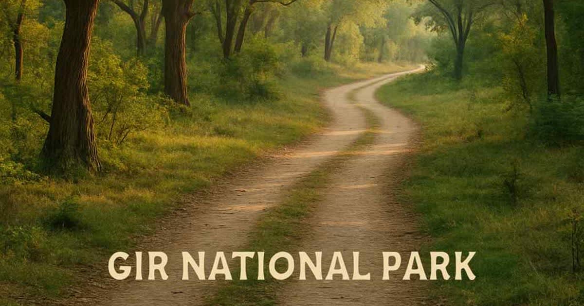 Gir National Park: Roar &amp;amp; Biodiversity in the...