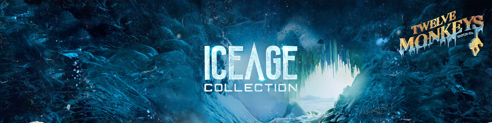 Bannière de la marque