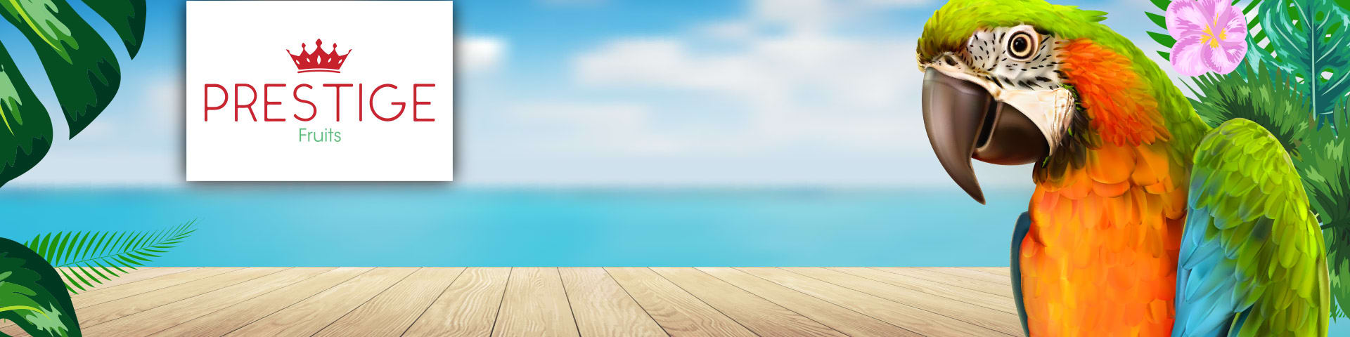 Bannière de la marque