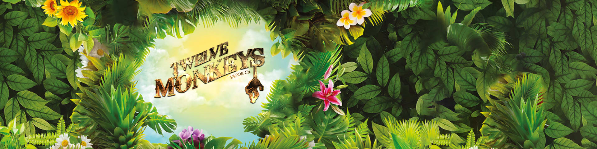 Bannière de la marque