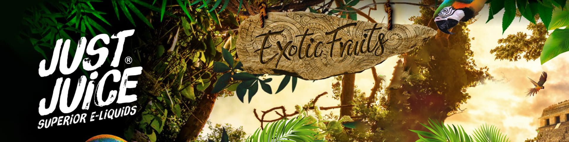 Bannière de la marque