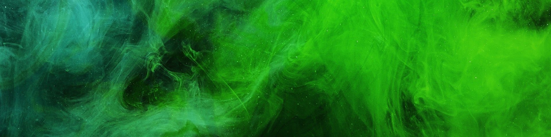 Bannière de la marque