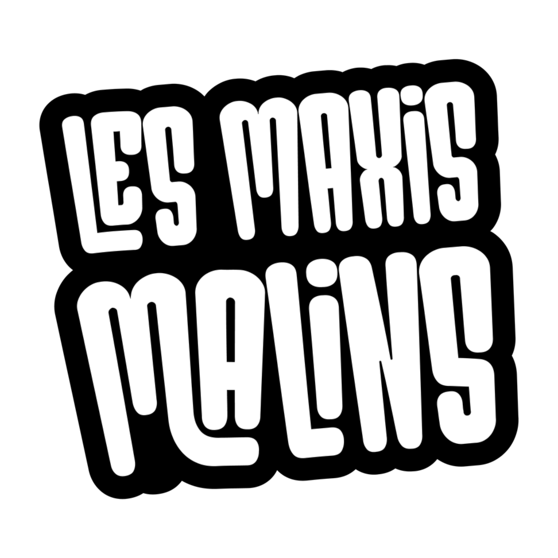 Logo de la marque Les Maxis Malins
