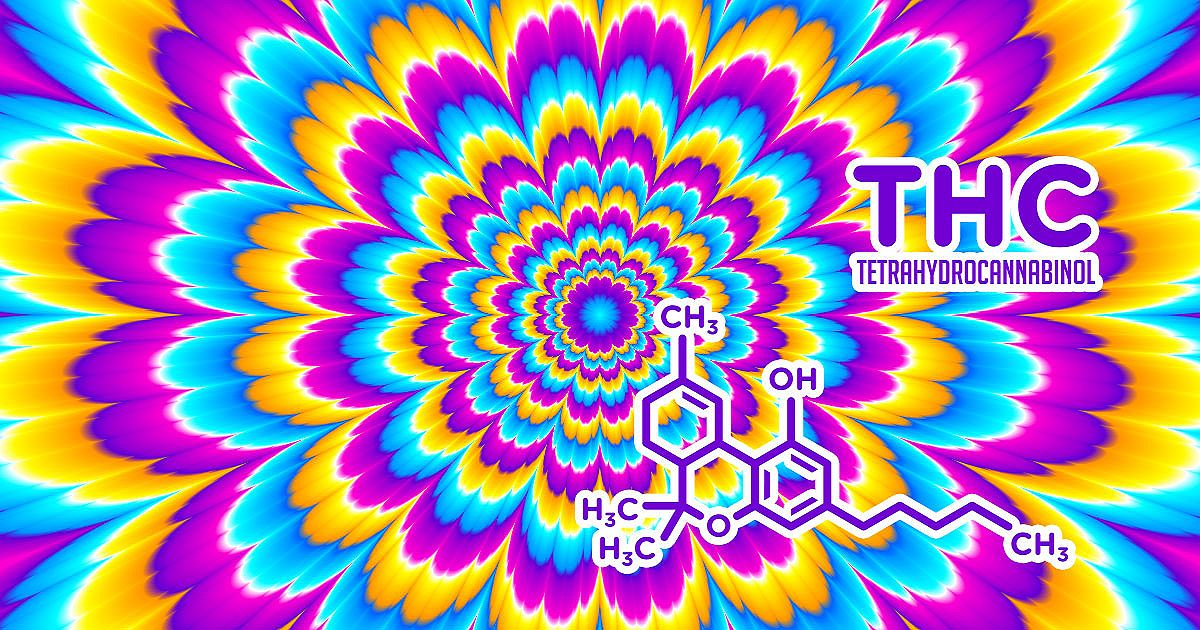 Qu'est-ce que le THC ?