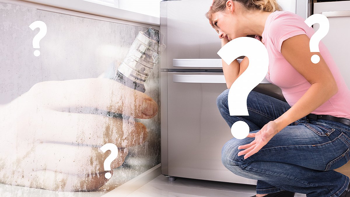 Quels sont les meilleurs goûts de puffs ?