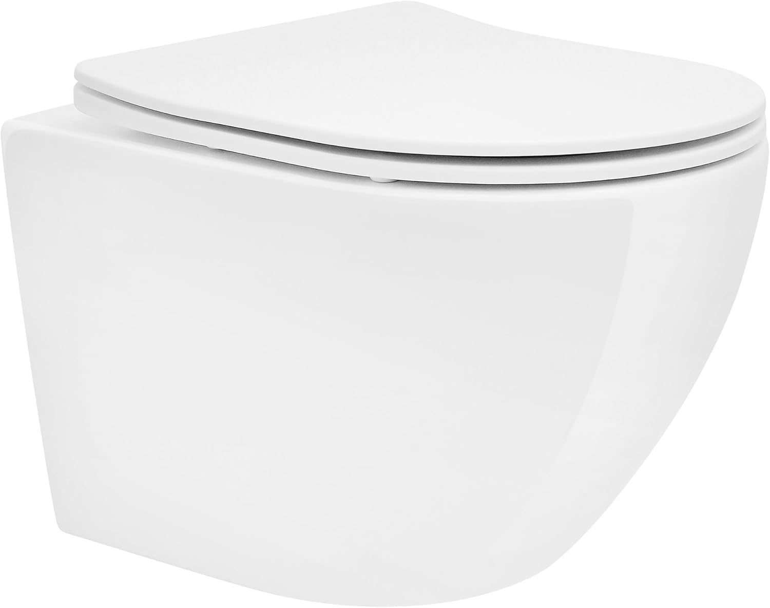 Cuvettes WC & Toilettes Suspendues - Équipement sanitaire professionnel et accessoires WC