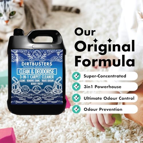 Vue 2 de Dirtbusters Nettoyant Desodorisant Professionnel
