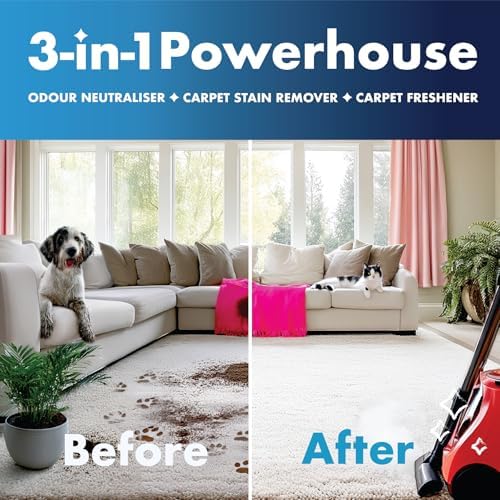 Vue 3 de Dirtbusters Nettoyant Desodorisant Professionnel