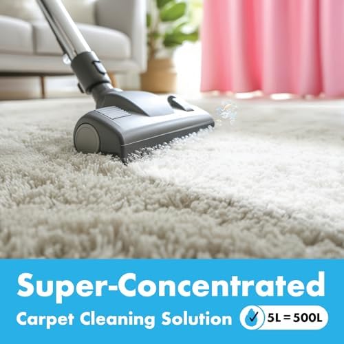 Vue 4 de Dirtbusters Nettoyant Desodorisant Professionnel