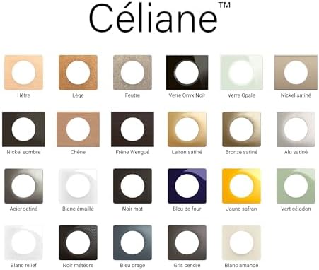 Vue 4 de Legrand Plaque Poste Noir