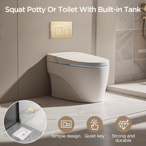 Vue 4 de Plaque De Commande Wc