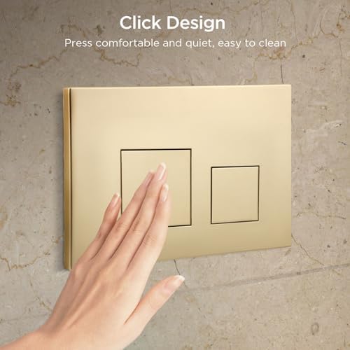 Vue 5 de Plaque De Commande Wc