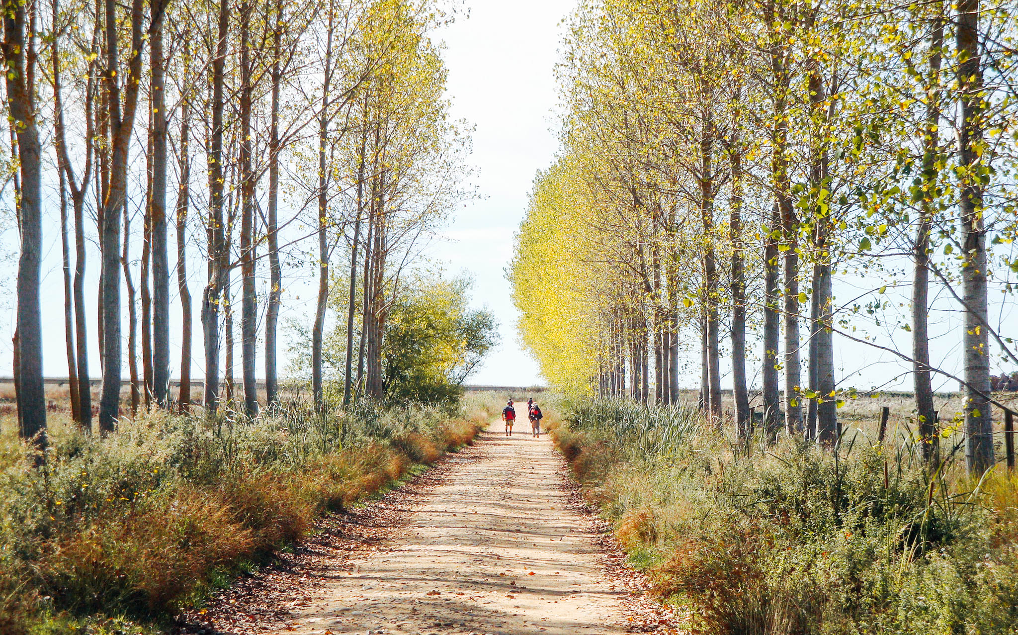 Del 9 |  Burgos  Len
