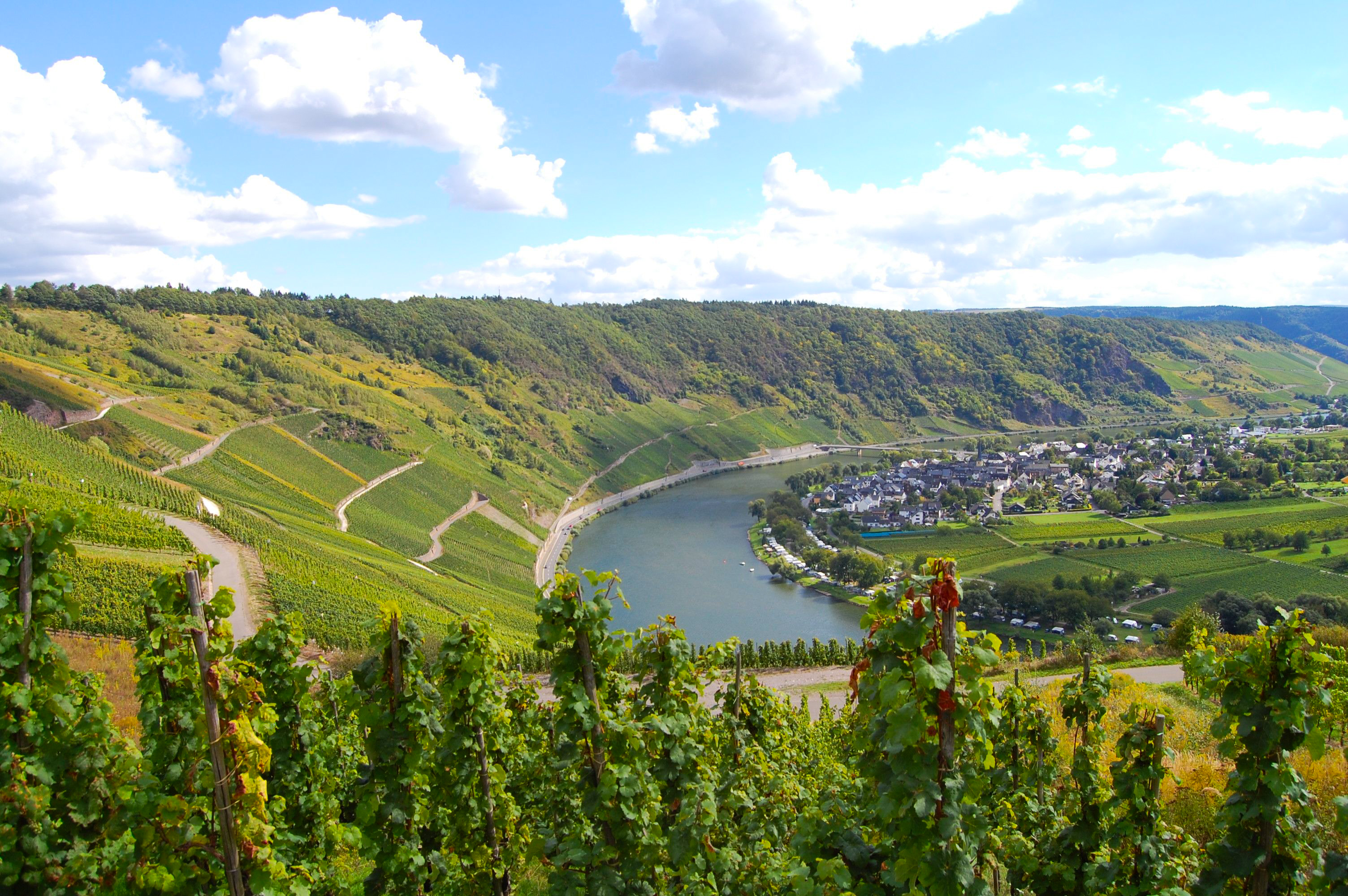 Moseldalen | 7 netter