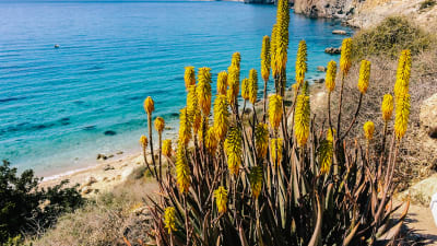 Andaluca - Cabo de Gata