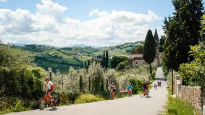 Toscana - fra Pisa til Firenze