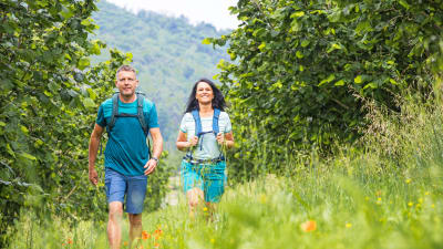 Piemonte | Barbaresco & Barolo | NYHET