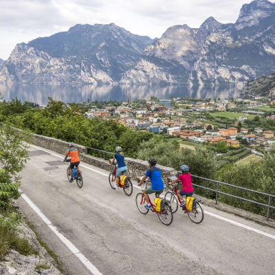 Bolzano � Venezia