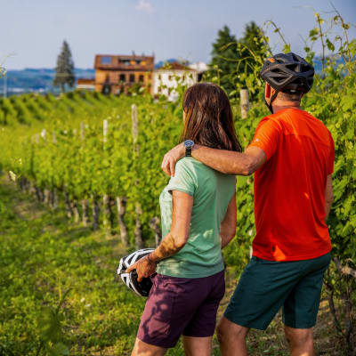 Piemonte