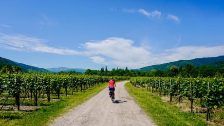 Alsace Colmar | 4 netter