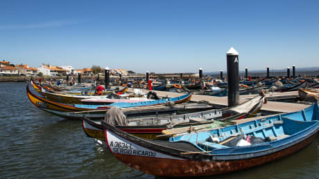 Porto  Coimbra