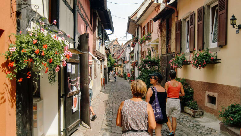 Alsace Colmar | 7 netter