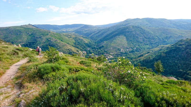Fra Le Bleymard via Mont Lozre til Pont-de-Montvert