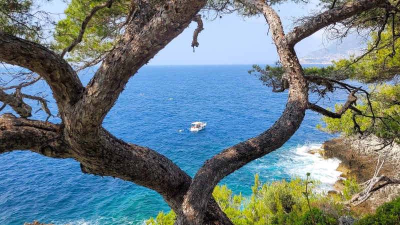 Rundt Cap Ferrat via Villefranche-sur-Mer og naturparken Mont Boron til Nice