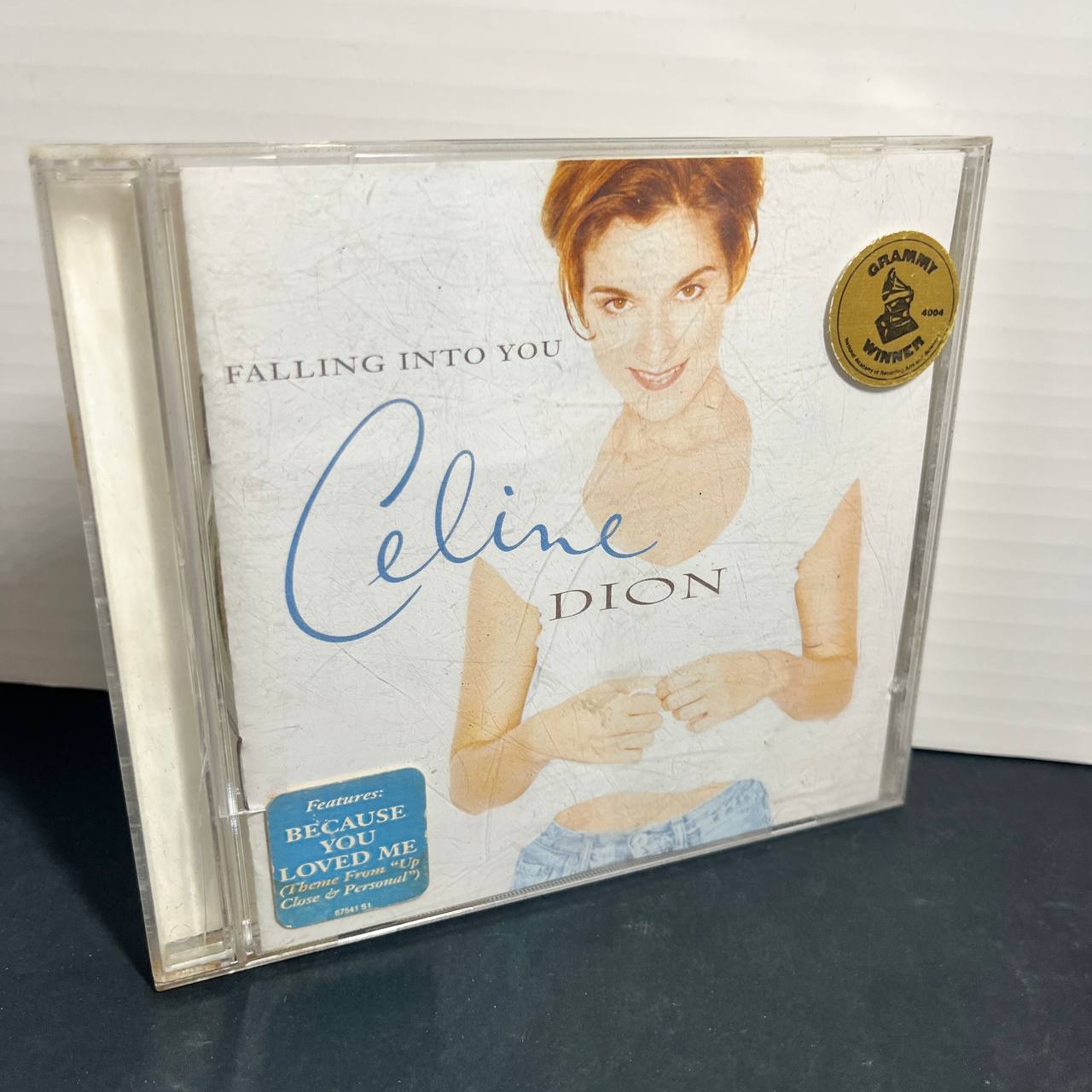 Celine Dion Falling Into You CD Álbum Original