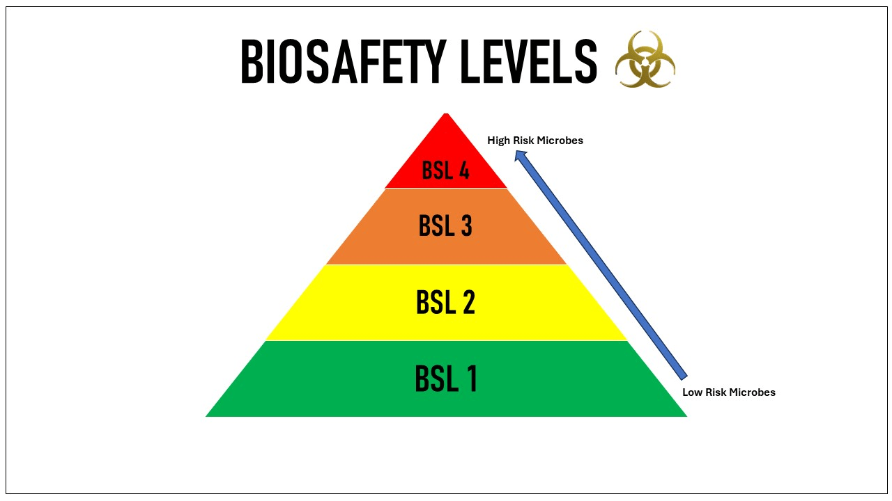 Biosafety Levels 1 4 What s The Difference SEPS 59 OFF biosafety-levels-1-4-what-s-the-difference-seps-59-off