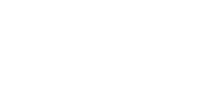 ELEVATE - BCD Mentoring Program