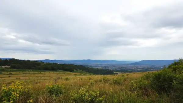 The Hidden Leverage Behind Greece’s Farmers’ Nationwide Blockades