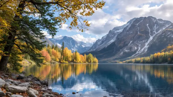 How Feel Free’s Herbal Supplement Surpassed 5-hour Energy in Months