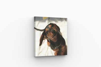 30cm x 30cm Square Canvas Prints