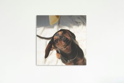 60cm x 60cm Cheap Canvas Prints