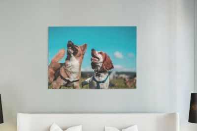 60cm x 90cm Cheap Canvas Prints