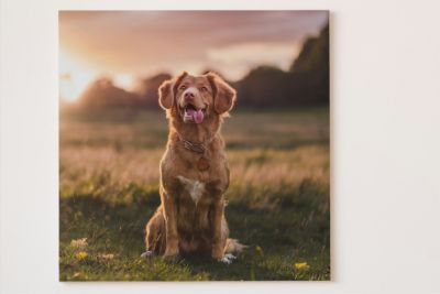 75cm x 75cm Square Canvas Prints