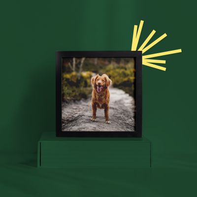 Framed Prints - Small