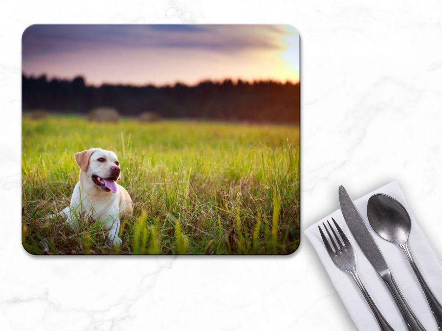 Personalised Pet Placemats Pixa Prints UK