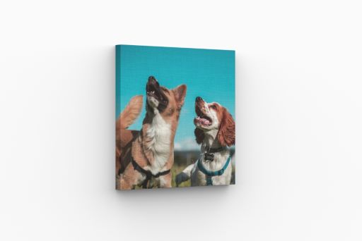 25cm x 25cm Cheap Canvas Prints