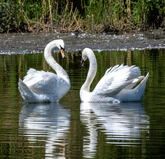 Customer product Customer product