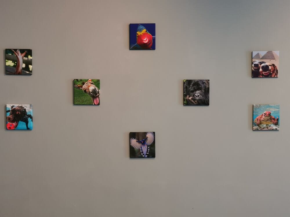 Cheap Canvas Prints Photo Canvas Pixa Prints Ireland