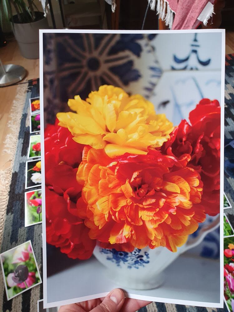 Large photo prints 50p Pixa Prints