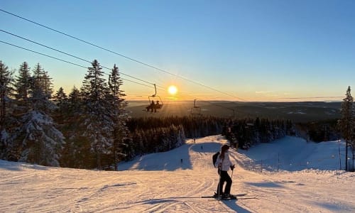 Skiløpere i langrenn og alpint i Oslo Vinterpark med vinterlandskap i bakgrunnen