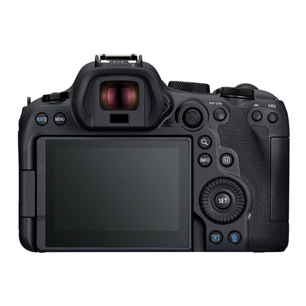 Canon EOS R6 Mark II + 24-105 mm f/4-7.1 IS STM  - 4