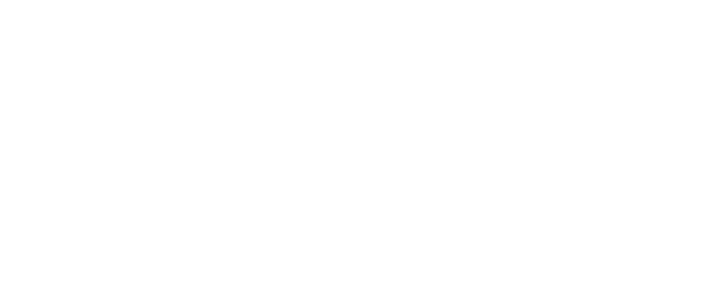 Disney Cruise Line