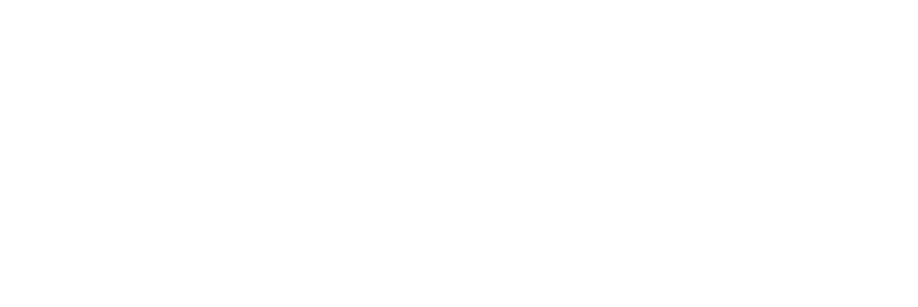Disney Cruise Line