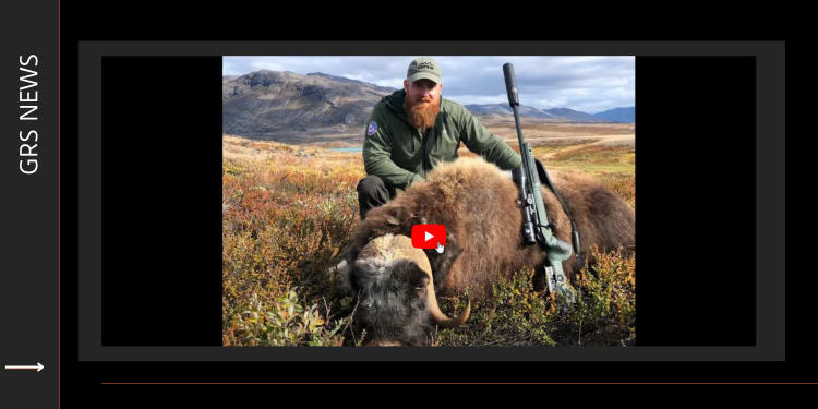 Epic Musk Ox hunting in Greenland Video