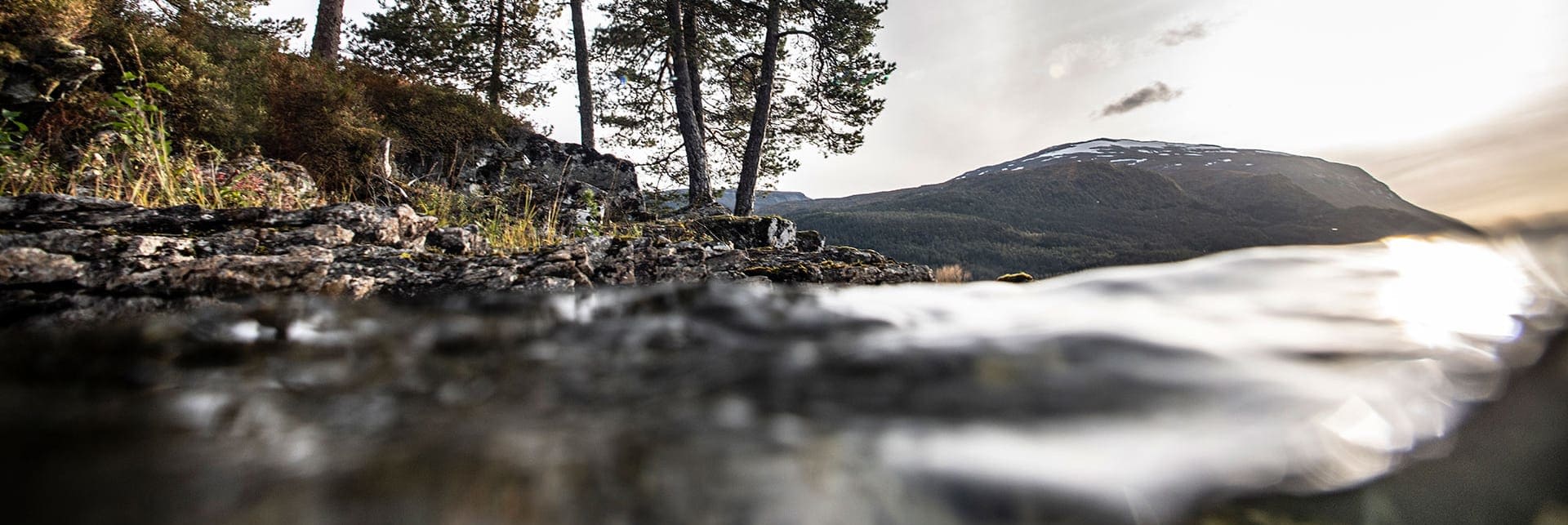 Photo of Hornindal Lake, detail